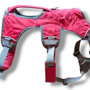 Ruffwear Geschirr